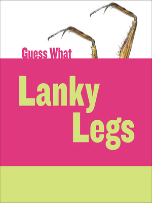 cover image of Lanky Legs: Praying Mantis